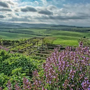 agriturismo-le-tassinaie.it-tuscanyhotel.com/